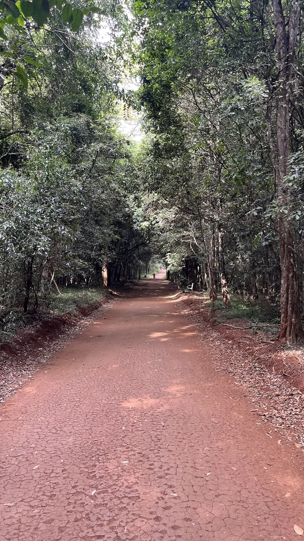 A shaded walking trail through Karura Forest in Nairobi